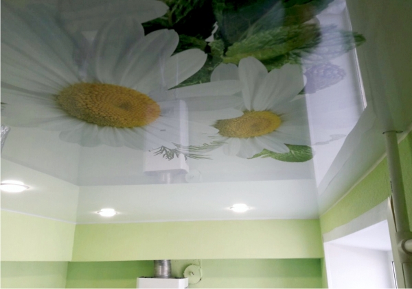 Натяжные потолки с фотопечатью рисунком